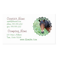 Cute Paso Fino Horse Business Card