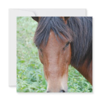 Cute Paso Fino Horse Invitations