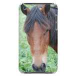 Cute Paso Fino Horse iTouch Case iPod Touch Covers