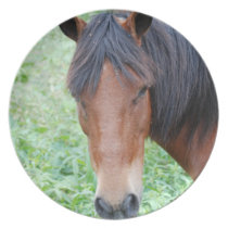 Cute Paso Fino Horse Plate