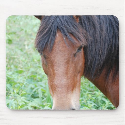 Cute Paso Fino Mouse Pad