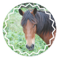 Cute Paso Fino Sticker