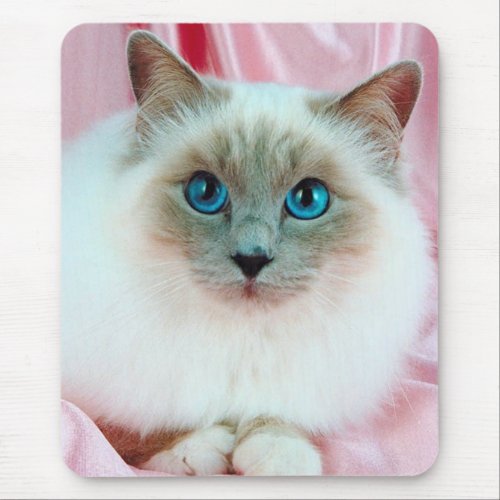 Cute Pedigree Cat mousepad