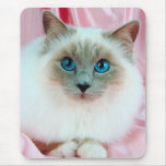 Cute Pedigree Cat Mouse Pads