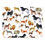 Cute Pedigree Pet Dog Wallpaper Design Post Cards