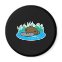 cute peeking platypus magnets