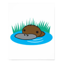 cute peeking platypus posters