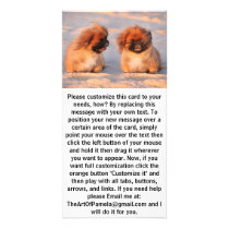 Cute Pekingese Dogs Photo Card