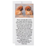 Cute Pekingese Dogs rack cards