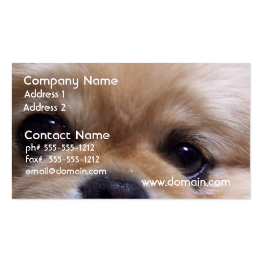 Cute Pekingese Puppy Business Cards (front side)