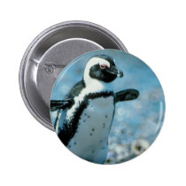 Cute Penguin buttons