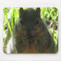 Cute picture of a little squirrel eating a nut mousepads