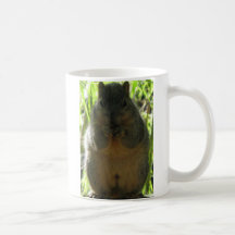 Cute picture of a little squirrel eating a nut mugs