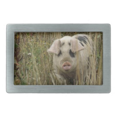 Pig Belt Buckle