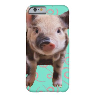 Cute Pig - Blue & Pink Swirls iPhone 6 Case
