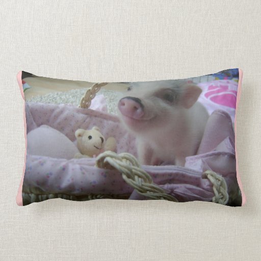 piggy pillow pet