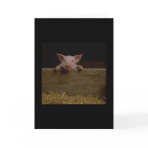 Cute Piglet Card