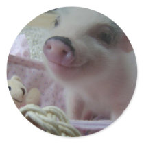 Cute Piglet Round Sticker