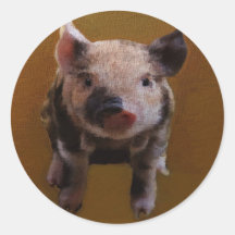 Cute piglet stickers