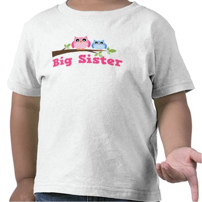 Cute Pink Blue Owl Branch Big Sister T-shirt