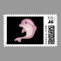 cute pink dolphin