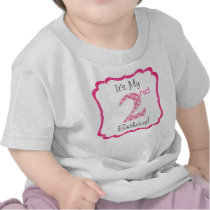Cute Pink Girl's Second Birthday Tee Shirts