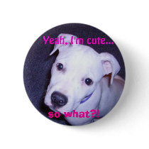 Cute Pit Bull Pin