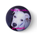 Cute Pit Bull buttons