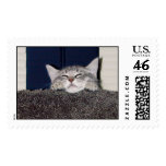 Cute_Pixie Stamp