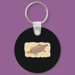 cute platypus in the sand