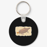 cute platypus in the sand