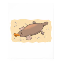 cute platypus in the sand posters