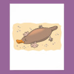 cute platypus in the sand