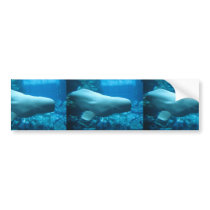 Cute Playful Beluga Whale In Aquarium At Georgia Bumper Sticker