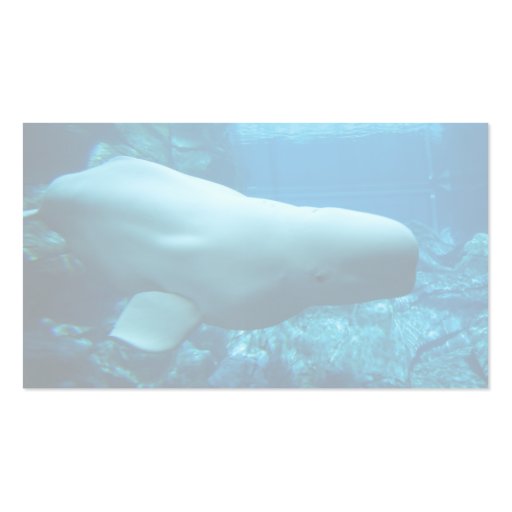 Cute Playful Beluga Whale In Aquarium At Georgia Business Card (back side)