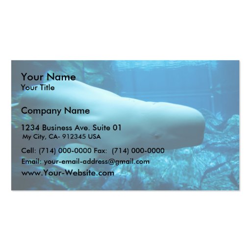 Cute Playful Beluga Whale In Aquarium At Georgia Business Card