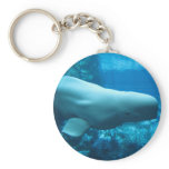 Cute Playful Beluga Whale In Aquarium At Georgia Key Chain