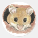 Cute Pocket Mouse Sticker