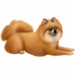Cute Pomeranian Dog Ornament photo sculptures