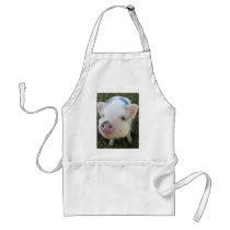 Cute Pot Belly Pig Aprons