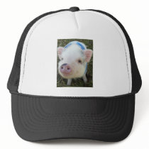 Cute Pot Belly Pig Mesh Hats
