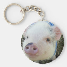 Cute Pot Belly Pig Keychain
