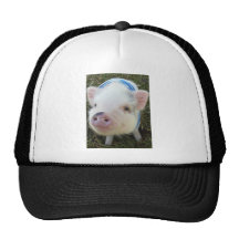 Cute Pot Belly Pig Mesh Hats