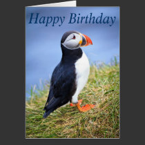 Cute Puffin Happy Birthday Greeting Card cards