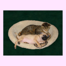 Cute Pug & Cat Poster posters