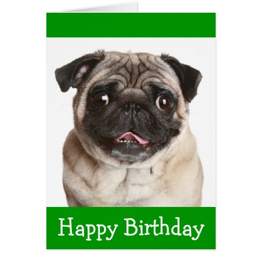 happy birthday black pug pug puppy happy birthday greeting card zazzle happy birthday black pug pug puppy happy birthday greeting card zazzle