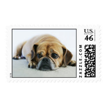 Cute Puggle Postage