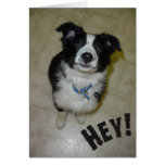 Cute Pup Card