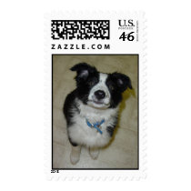 Cute Pup Postage