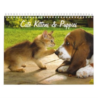 Cute Puppies and Kittens Calendar